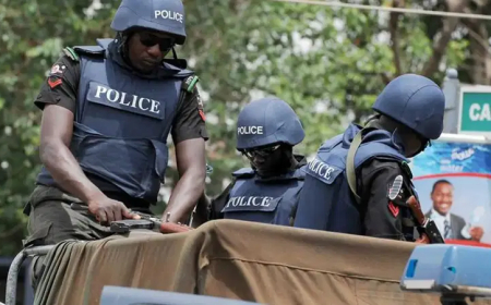 Police confirm recovery of 9 dead bodies in Niger community