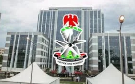 Customs dismiss smuggling, revenue leakage allegations