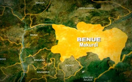 Police recover stolen newborn baby, arrest suspects in Benue