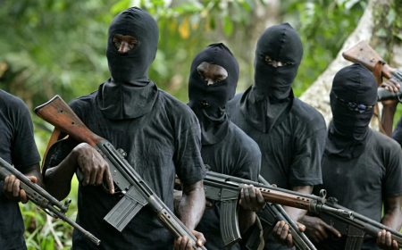 Gunmen abduct 14 passengers in Benue, five rescued