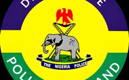 Police arrest two suspected drug dealers, recover 132 tramadol sachets