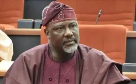 How goat investment helped fund my education — Dino Melaye