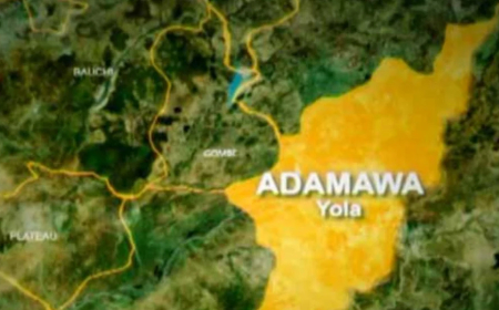 Police nab 27-year-old over fatal hotel stabbing in Adamawa