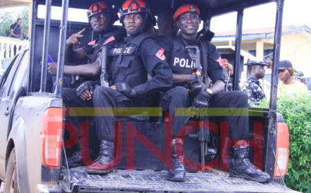 Police recover grenade from Borno drainage