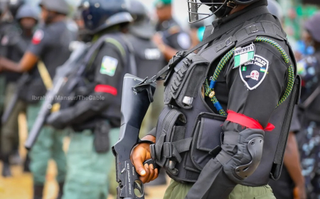 Osun poll: 295 suspects arrested – Police