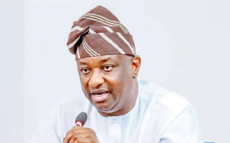 FG asks IATA to change Osubi airport code