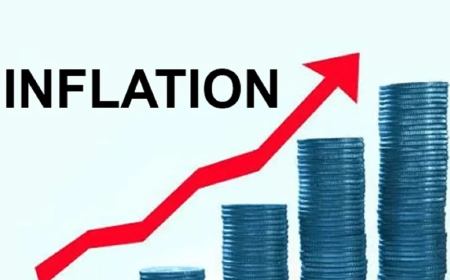 Nigeria’s headline inflation falls to 15.43% in July