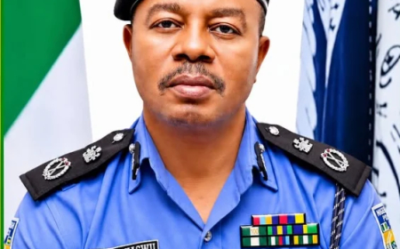Son hacks mother to death in Ondo