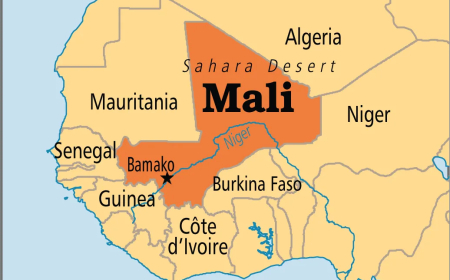 Mali jails broadcaster, influencer critical of junta for seven years