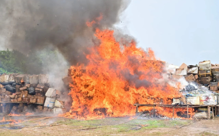 NDLEA destroys N301bn cocaine, heroin, others in Lagos