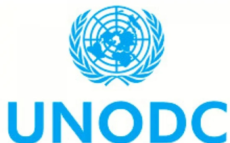 UN, NSCDC move against terror funding, Illegal mining