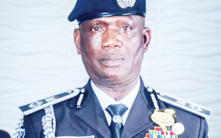 Bauchi police recommits to professionalism