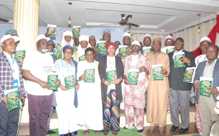 Kwara unveils strategy to eliminate viral hepatitis by 2030