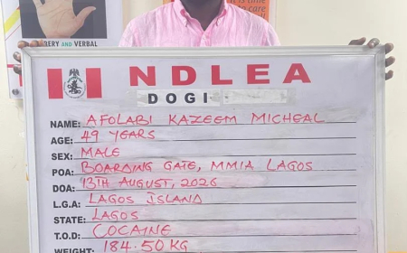 NDLEA nabs alleged cocaine baron fleeing to Paris