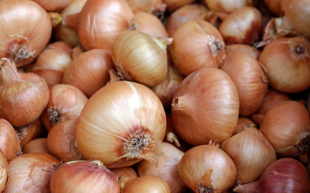 Nigerian onion traders resume exports to Ghana