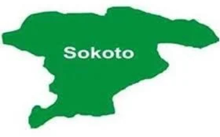 Police kill two bandits, recover stolen motorcycles in Sokoto 