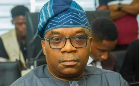 FG demands end to attacks on Nigerians in S’Africa
