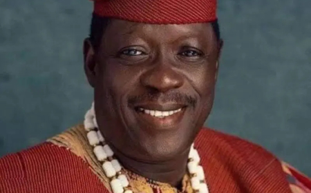 Why Ogogo cannot be moved from hospital — Jide Kosoko