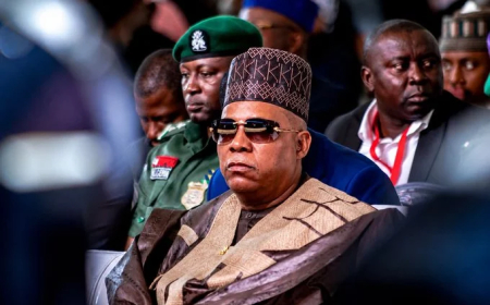 Shettima returns from two-week leave ahead of schedule