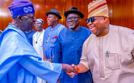 Tinubu, Adeleke in closed-door meeting at Aso Rock Villa