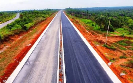 Shettima, Fubara unveil 33.5km Rivers road