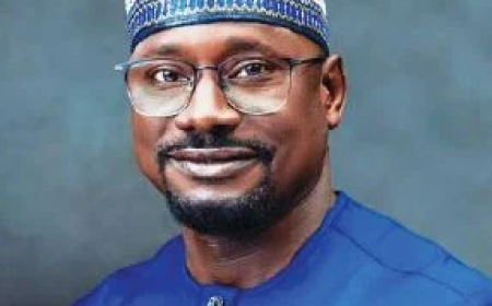 Nigeria needs $23bn to fix power sector — REA boss