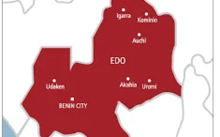 Edo NEPA, PHCN retirees demand N350bn arrears payment