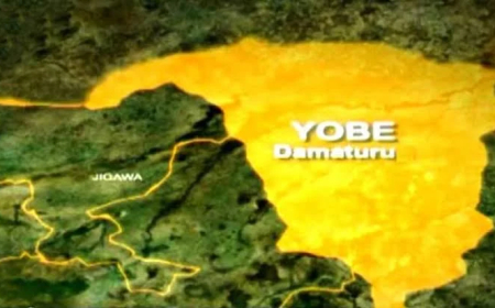 Fire destroys Yobe settlement, kills woman, three children