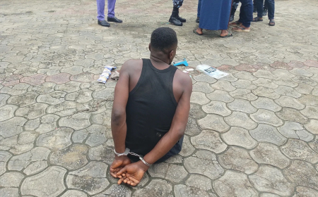 Police rescue woman after weeks in kidnappers’ den in Bayelsa  
