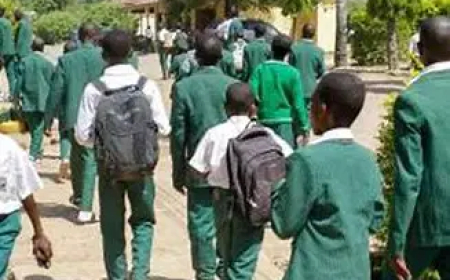 Penalty at the gate: Lagos private schools fine late-pickup parents 