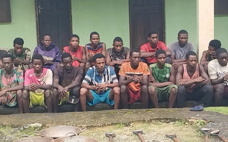 C’River national park arrests 17 miners over encroachment