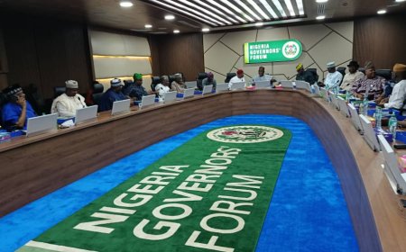 Governors spend N512bn on travels, offices