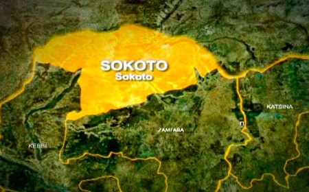 Terrorists kill four, abduct four in Sokoto community