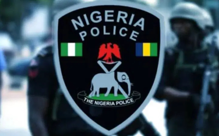 Police arrest suspected gunrunner with AK-49 rifles, 228 RPG rounds in Kaduna