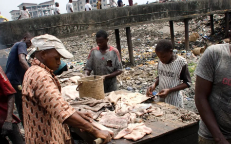 Lagos to turn abattoir waste into biogas, fertiliser