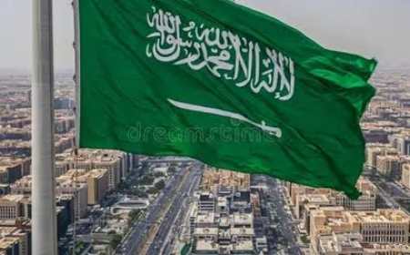 Saudi Arabia sets new work visa limits for businesses, foreign workers