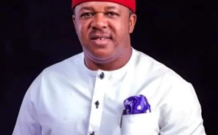 Why Yoruba movies dominate cinema, digital platforms over Igbo — Francis Duru