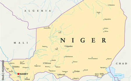 Heavy gunfire rocks Niger capital, TV station goes off air