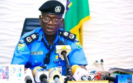Police arrest suspected phone snatcher, five others in Bauchi