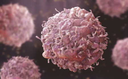 Early cancer diagnosis improves chances of effective treatment, outcome – FG