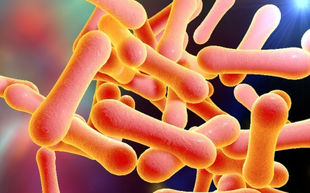 Diphtheria: 29 Katsina LGs affected, Kano confirms two deaths