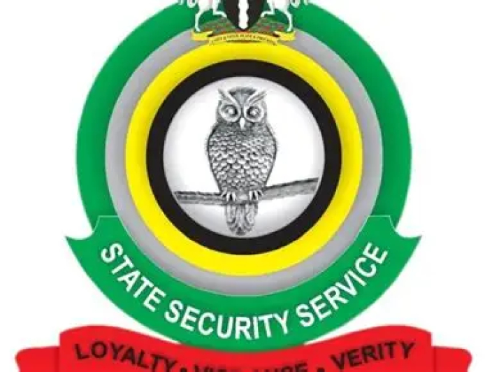 Court remands retired DSS officer over IPOB support, cybercrime
