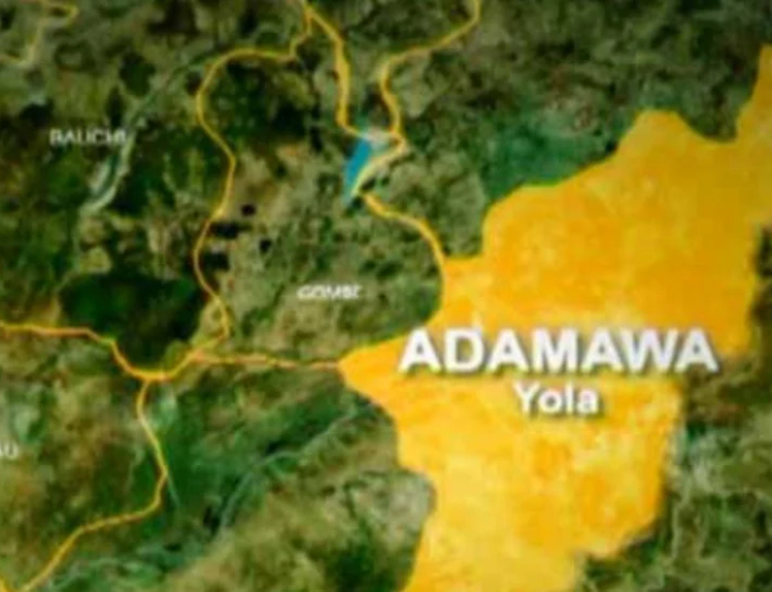 B’Haram kills police officer, seven others in Adamawa