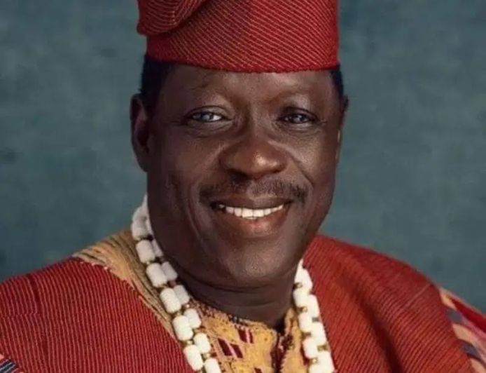 Why Ogogo cannot be moved from hospital — Jide Kosoko