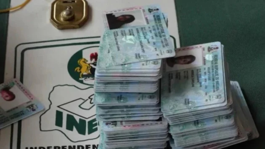 131,165 new voters registered in Edo