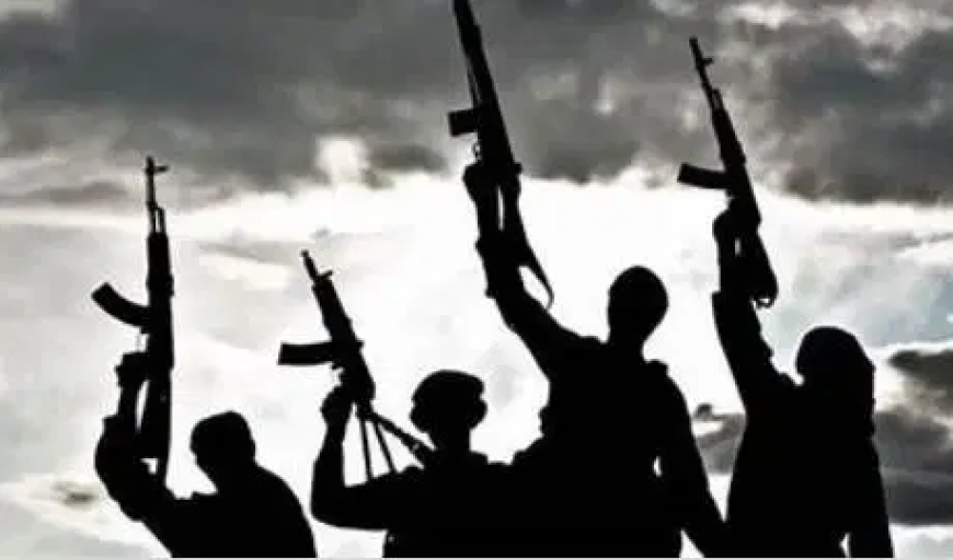 Gunmen ambush joint security patrol in Plateau, kill two operatives