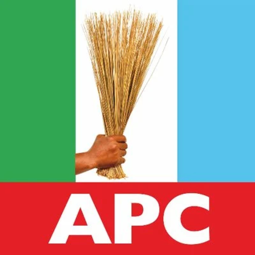 APC youth wing pledges greater inclusion of young Nigerians