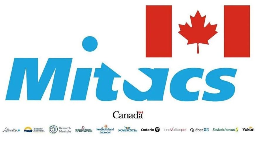 MITACS Globalink Internship in Canada 2027 | How To Apply