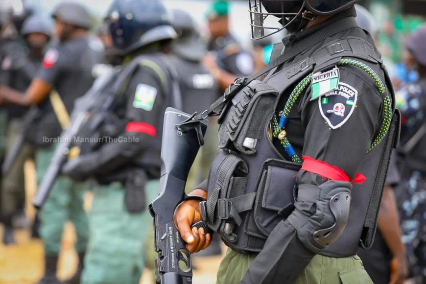 Osun poll: 295 suspects arrested – Police