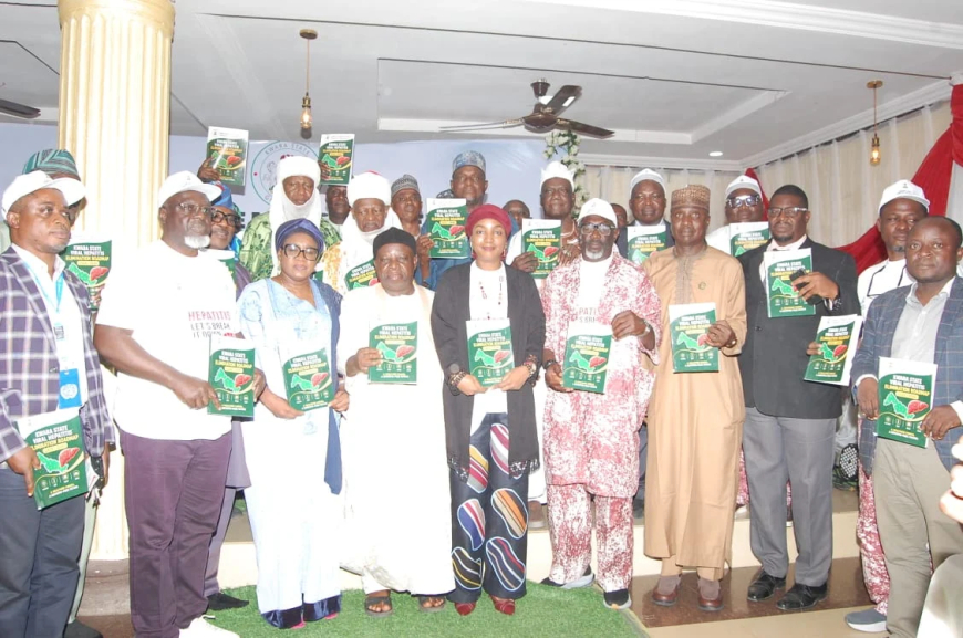 Kwara unveils strategy to eliminate viral hepatitis by 2030